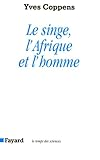 vignette