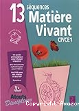vignette